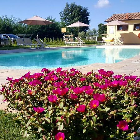 Punta Dei Lecci Villa Riparbella Exterior photo