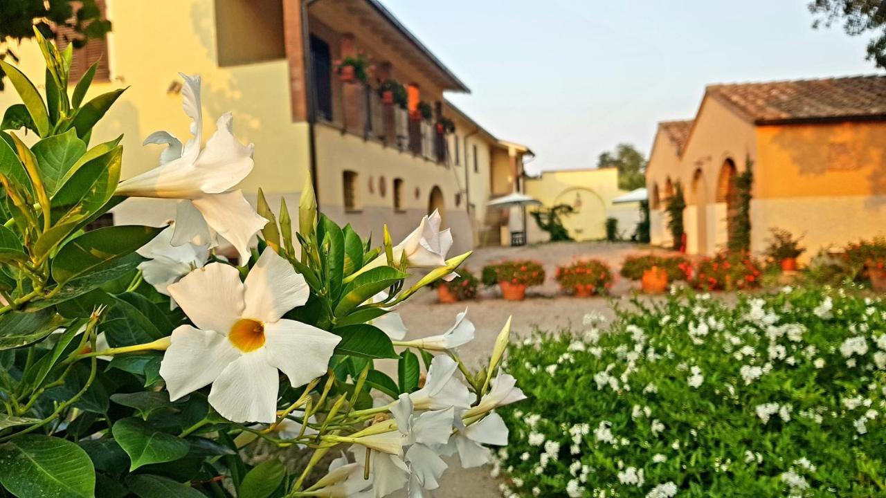 Punta Dei Lecci Villa Riparbella Exterior photo
