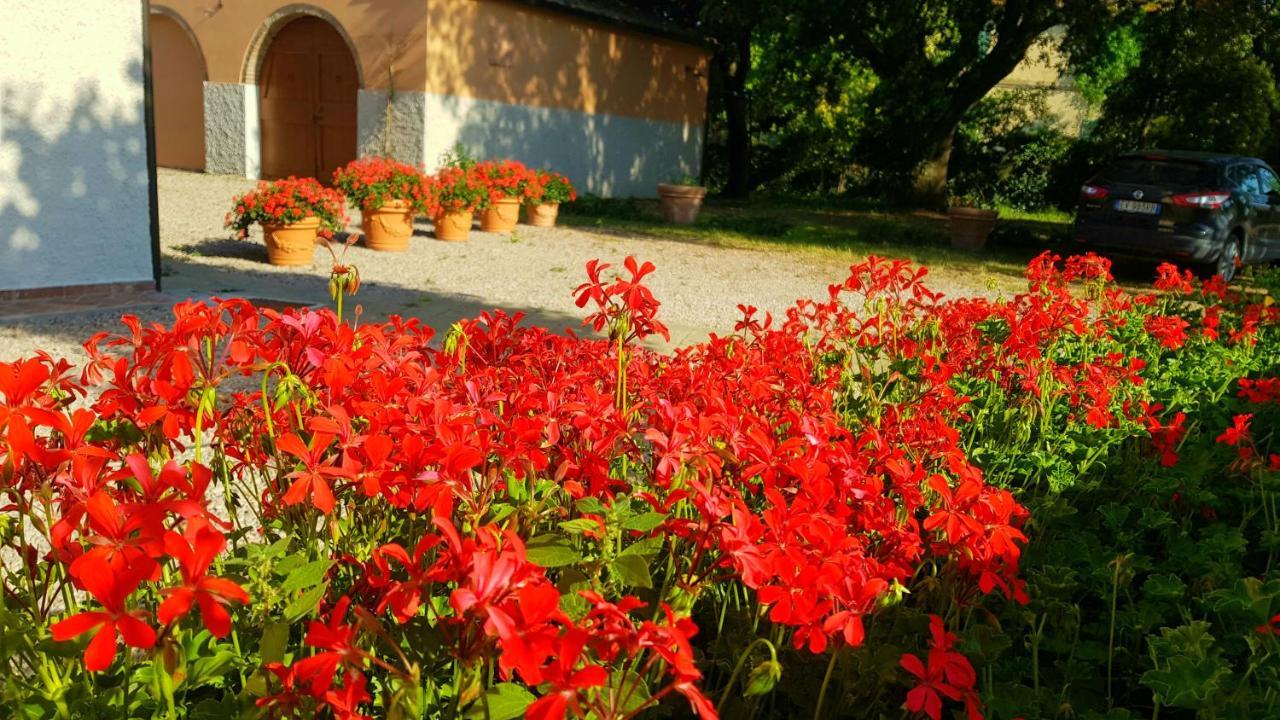Punta Dei Lecci Villa Riparbella Exterior photo