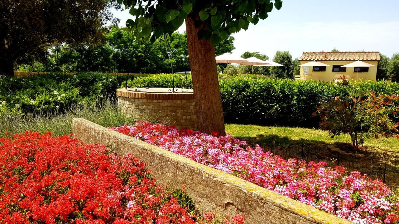 Punta Dei Lecci Villa Riparbella Exterior photo