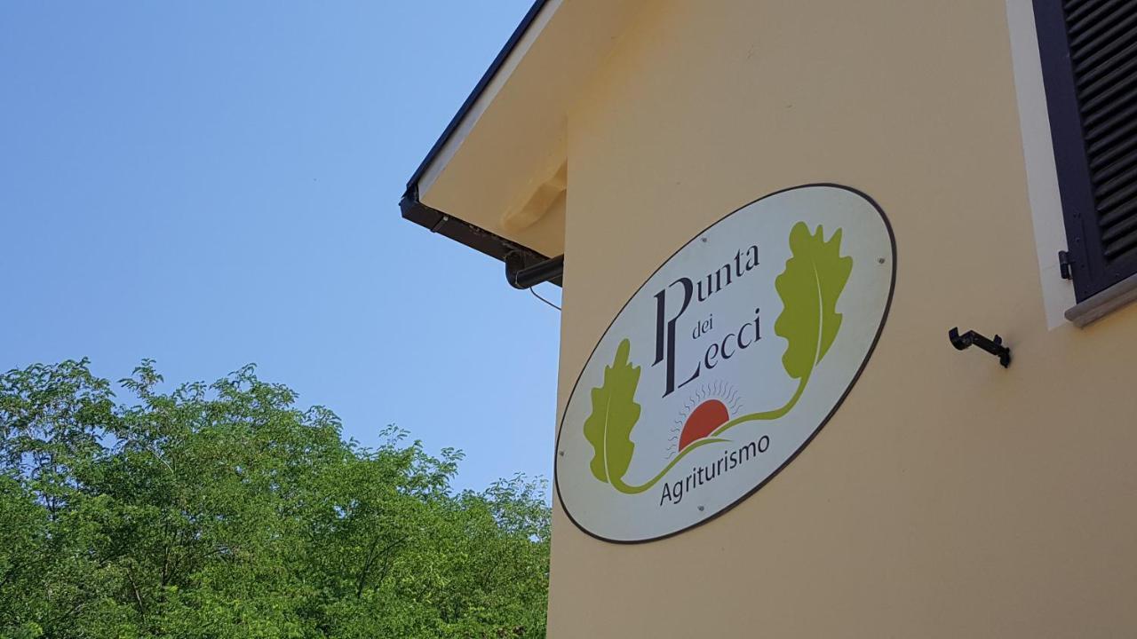 Punta Dei Lecci Villa Riparbella Exterior photo
